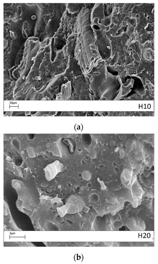 Scanning electron miscroscopy analysis of the tensile fractured 60/40 PP/LV blend with different content of hemp fibers: (a) 10 wt % (H10); (b) 20 wt % (H20).