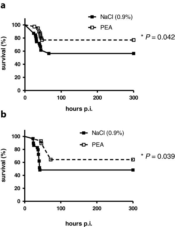 Prophylaxis with palmitoylethanolamide (PEA) conferred protection against E. coli K1 infection. Kaplan-Meier survival curves of mice pre-treated intraperitoneally with 0.1 mg/kg PEA (250 μl, containing 0.3% DMSO in 0.9% NaCl) 12 hours and 30 minutes before infection (n = 39) and control mice (n = 39) (250 μl, 0.3% DMSO in 0.9% NaCl) after ip infection with E. coli K1 (a) and of mice pre-treated with 0.1 mg/kg PEA (250 μl containing 0.3% DMSO in 0.9% NaCl) 12 hours and 30 minutes before infection (n = 29) and control mice (250 μl 0.3% DMSO in 0.9% NaCl) (n = 28) after intracerebral infection with E. coli K1 (b). The respective groups were compared by log-rank test.