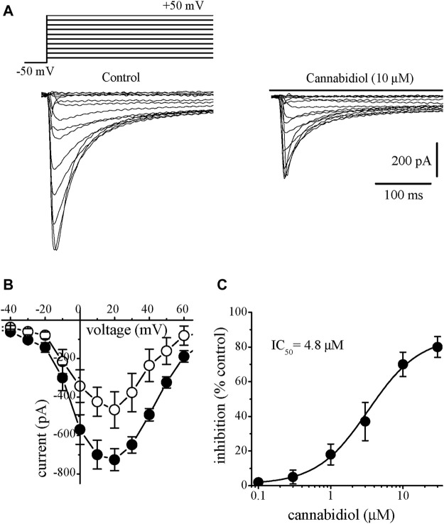 Cannabidiol inhibits the I L-Ca in rabbit ventricular myocytes (A) Original current traces elicited by voltages in the range of −50 mV to +50 mV in control conditions (on the left) and after 10 min exposure to 10 μM CBD (on the right). The pulse protocol to evoke I L-Ca is presented in the inset (B) Current-voltage relations of I L-Ca in the absence and presence of 10 μM CBD are presented with filled and open circles, respectively (n = 6) (C) Concentration-inhibition curve for CBD suppression of I L-Ca (n = 5–8).