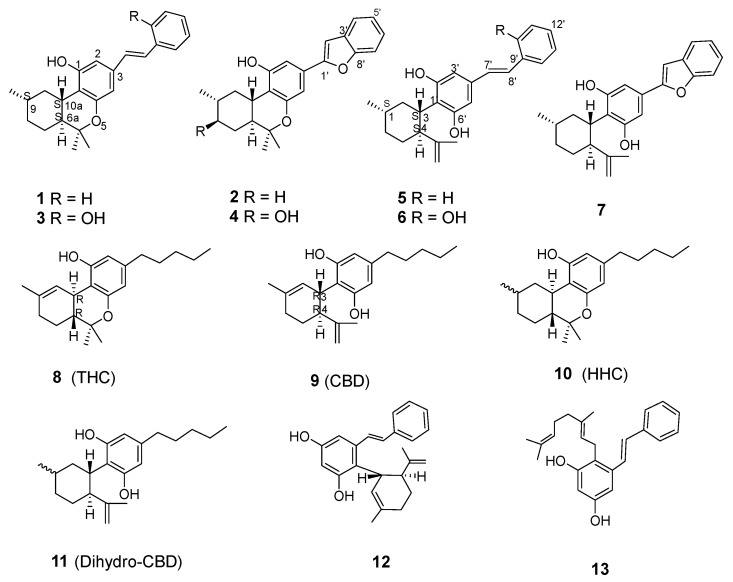 Chemical structures of compounds isolated from Machaerium Pers. (1–7), synthetic analogs (12, 13) and related compounds (8–11).