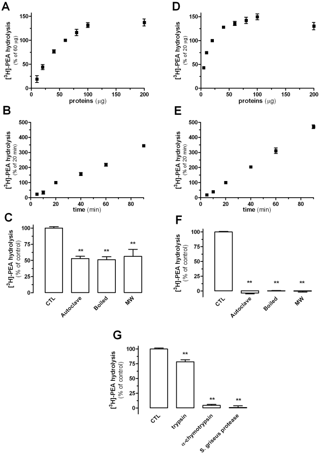 Initial characterization of PEA Hydrolysis by Yeast Homogenates.[3H]-PEA hydrolysis by yeast homogenates is protein concentration-dependent (A; 20 min incubation) and time-dependent (B; 60 µg of protein). Similarly, HEK293 cells homogenates hydrolyze [3H]-PEA in a protein concentration- (D; 20 min incubation) and time-dependent manner (E; 20 µg of protein). When submitted to denaturing conditions such as heat or microwaves, ≈50% of the yeast PEA-hydrolytic activity (C) and ≈100% of the HEK293 cells homogenate activity (F) are lost, suggesting that part of the hydrolytic activity in yeast in heat-resistant. [3H]-PEA hydrolysis is greatly reduced in yeast homogenates incubated with α-chymotrypsin or with protease from Streptomyces griseus (G) confirming the enzymatic nature of the entire PEA hydrolysis. Data points are the mean±SEM of three to four experiments done in duplicate. ** P<0.01 compared to control homogenates (ANOVA one-way, Dunnett's post test).