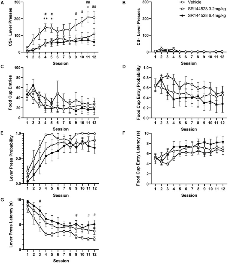 Antagonism/inverse agonism of CB2R during adolescence modulates adulthood autoshaping task performance. (A) Mean lever presses on the CS+ lever. (B) Mean lever presses on the CS– lever. (C) Probability of a lever press at least once during its presentation. (D) Probability of entering the food cup during CS+ lever presentation. (E) Mean latency to press the CS+ lever. (F) Mean latency to food cup entry. (G) Mean cumulative food cup entries during CS+ lever presentation. *p < 0.05, **p < 0.005 vehicle versus 3.2 mg/kg SR144528. #p < 0.05, ##p < 0.005 vehicle vs 6.4 mg/kg SR144528. Data presented as mean ± SEM.