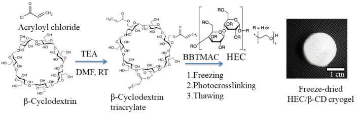 Synthesis of HEC/β-CD cryogel via cryogenic treatment and photochemical crosslinking in a frozen state.
