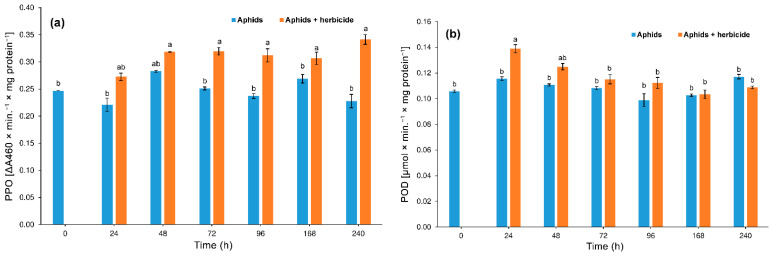 Activity change of polyphenol oxidase (PPO) (a) and peroxidase (POD) (b) in the tissues of Phorodon cannabis after the application of Pantera 040 EC graminicide to the hemp plant (mean ± SE; control = aphids on the Cannabis sativa). Values not followed by the same letter are significantly different at the level of p < 0.05 (Tukey multiple range test).