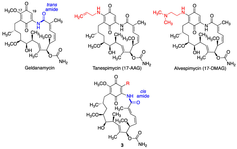 Geldanamycin and its neuroprotective analogues.