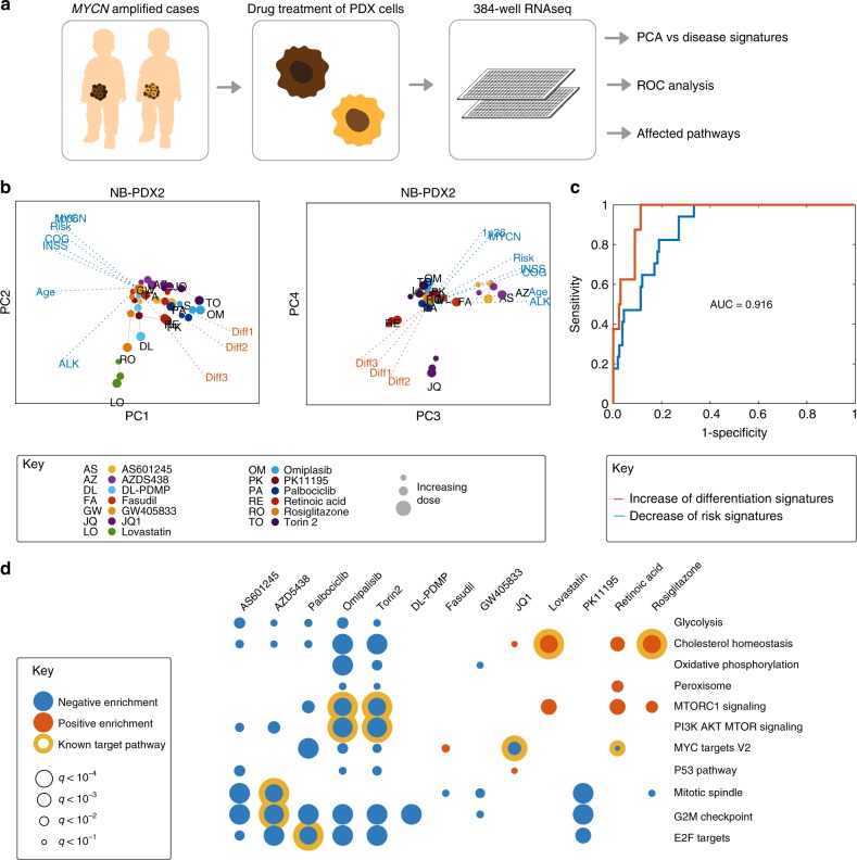 RNA profiling confirmed modulation of neuroblastoma risk signatures.a Experiment concept. b Principal component analysis of results for patient 1 (NB-PDX2). Note similar directions of PI3K and MTOR inhibitors omipalisib (OM) and torin-2 (TO) along PC1, and differentiation-inducing agents retinoic acid and JQ1 along PC 4. See also Supplementary Fig. 3. c ROC curve analysing the predictive power of TargetTranslator, defined as the ability to predict (from the public data sources) whether a particular gene signature will decrease (blue) or increase (red) after drug treatment; showing average for 10 risk signatures and all tested drugs, overall area under the curve correctness of 0.916. d Gene Set Enrichment Analysis (GSEA) of drug-induced changes, showing suppressed (blue) and induced (red) pathways. Yellow circles mark the known action of each corresponding drug.