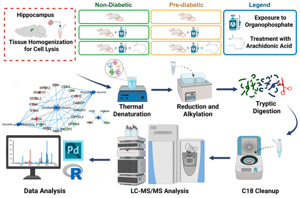 Summary of the experimental workflow highlighting sample preparation and instrumental analysis steps. Created in BioRender. Group, M. (2026) https://BioRender.com/tqnfaib (accessed on 15 June 2026).