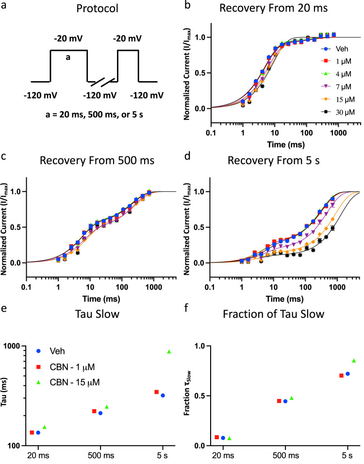 CBN slows recovery from slow inactivation in Nav1.7.a Shows the protocol that was used to measure CBG effect on channel recovery from duration pre-pulses. b Recovery from inactivation in the presence of 0 (Veh)−30 µM CBN, from 20 ms, c 500 ms, and d 5 s. Symbols for data shown in panels b–d are the same. Data shown as means ± SEM (n = 10–25 for 20 ms, 9–26 for 500 ms, and 5–23 for 5 s). e, f The slow components of recovery from inactivation in vehicle and CBN at 20 ms, 500 ms, and 5 s are shown on Y axis (e), and the fraction of slow to fast component of recovery from inactivation is shown on the Y axis (f). Symbols for data shown in panels e-f are the same.