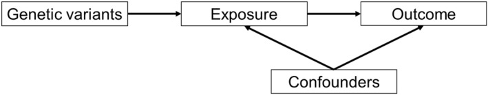 Mendelian randomization (MR)