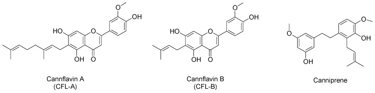Chemical structures of main flavonoids and related compounds in hemp inflorescences.