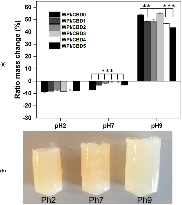 (a) The result of polymer swelling assay under pH 2, pH 7 and pH 9 conditions. The hydrogel samples were introduced to 5 mL solution. Each bar represents the mean ± SD of n = 15 (** p < 0.01, *** p < 0.001 when compared to the WPI control). (b) An image representing the hydrogels post swelling assay.