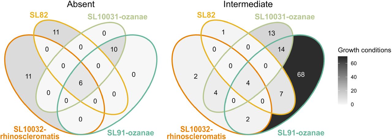 Sub-lineages display unique and convergent metabolic lossesVenn diagrams showing number of K. pneumoniae core substrate usages intermediately (usage within >0% & <95%) or completely lost (usage within 0%) within sub-lineages.