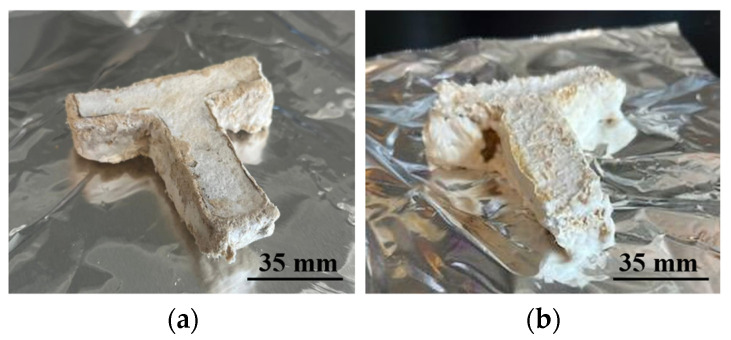 Pictures of final samples printed from (a) biomass powder with a particle size of 0.15 mm, and (b) biomass powder with a particle size of 2 mm.
