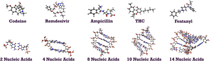 Molecular structures of codeine (pain reliever), remdesivir (antiviral), ampicillin (antibiotic), THC (principal psychoactive constituent of cannabis), fentanyl (pain medication); molecular structures of B-DNA fragments with 2, 4, 8, 10, and 14 nucleic acids.