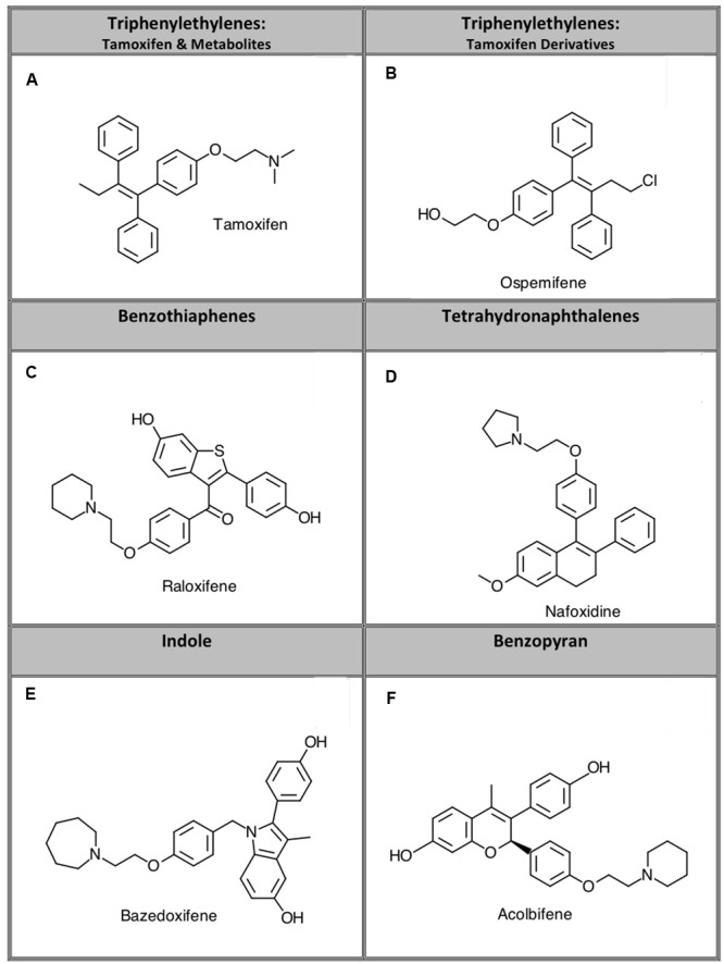 Representative compounds from five structurally distinct SERM classes examined in this study. Specific compounds studied were: (A) tamoxifen, (B) ospemifene, (C) raloxifene, (D) nafoxidine, (E) bazedoxifene, and (F) acolbifene.