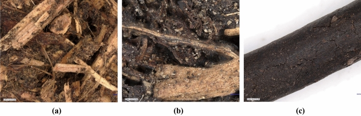 Microstructure image of (a) compost hemp chaff and apple pomace, (b) compost with buckwheat husk and (c) organic compost-pellets from Keyence Digital Microscope.