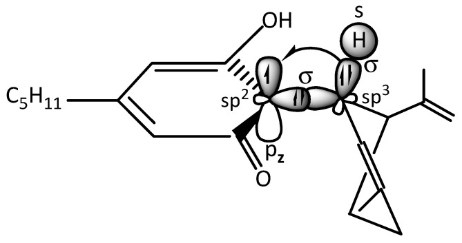 Hyperconjugation between σ(sp3-s) electron of carbon atom of limonene and pz electron of sp2 carbon atom of olivetol ring.