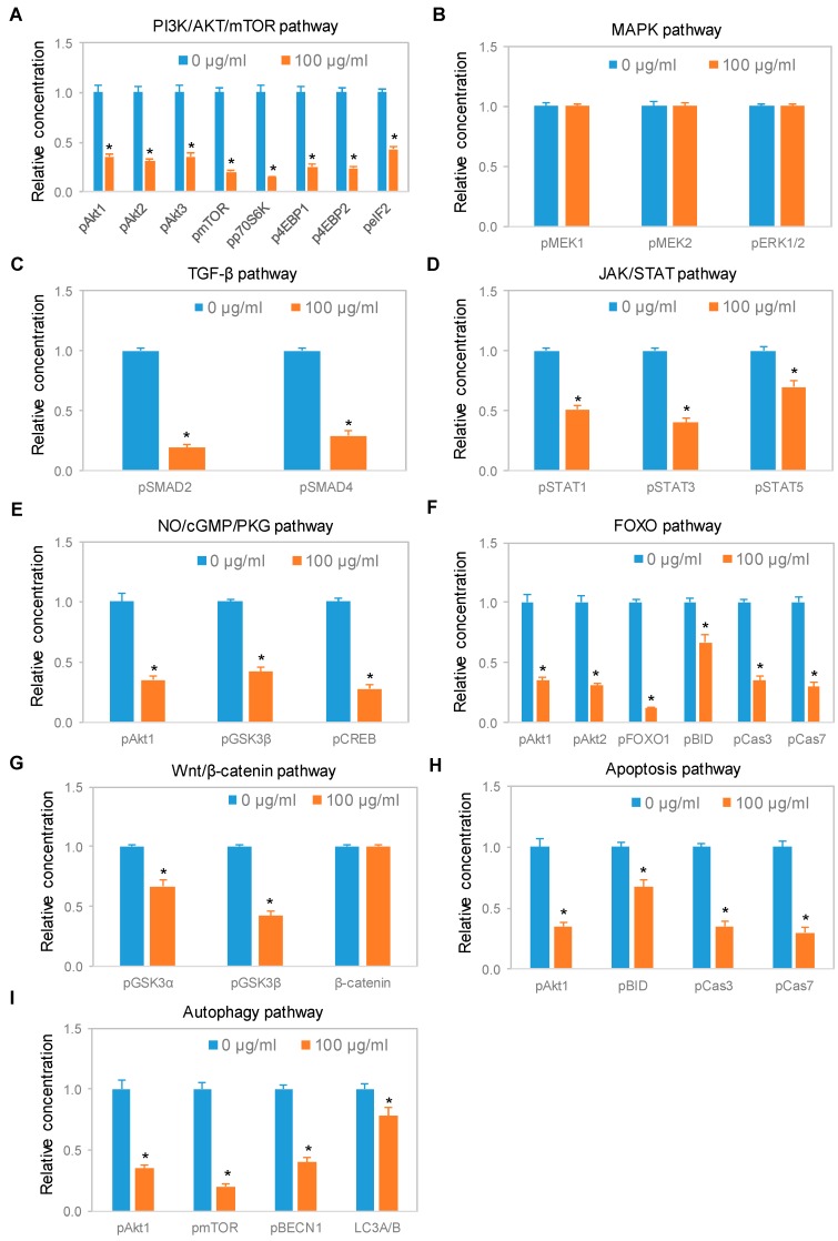 Expression of protein isoforms in selected signaling pathways following treatment with a CBD oil. (A) PI3K/Akt/mTOR pathway; (B) MAPK pathway; (C) TGF-β pathway; (D) JAK/STAT pathway; (E) NO/cGMP/PKG pathway; (F) FOXO pathway; (G) Wnt/β-catenin pathway; (H) apoptosis pathway; and (I) autophagy pathway. Blue and orange are control samples (0 µg/mL) and samples treated with CBD oil V1 at 100 µg/mL final CBD concentration for 24 h, respectively. Relative concentration describes fold change of protein phosphoisoforms after treatment as compared with the control. Error bars are standard deviations across six repeated measurements per experimental condition. Asterisks indicate statistical significance for p ≤ 0.05 versus control.