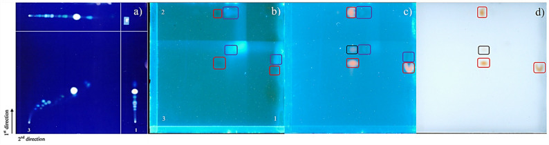Comparison of images acquired during the evaluation of the stability parameter using 2D-TLC. a example of analyte degradation (Renger et al. 2011), reprinted from Journal of Chromatography A, Vol. 1218, B. Renger, Z. Végh, K. Ferenczi-Fodor, Validation of thin layer and high-performance thin layer chromatographic methods, pp. 2712–2721, Copyright (2011), with permission from Elsevier, (b) developed plate visualized at 366 nm, (c) derivatized plate visualized at 366 nm, (d) derivatized plate visualized under white light. Red boxes indicate CBD bands, purple boxes highlight medium chain triglyceride oil from CRM#A migrating with the solvent front, and black boxes show solvent front region, potentially containing an excess of applied analyte