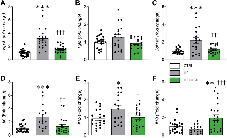 The Remodeling, Immunomodulatory, and Antiapoptotic Effect of Cannabidiol in Heart Tissue of Mice With HFGene expression of cardiac remodeling markers: (A) BNP (Nppb gene), (B) TGF-β (Tgfb1 gene), and (C) Col1a (Col1a1 gene), normalized to control group (dotted line). GAPDH was used as housekeeper gene. Gene expression of cytokines in cardiac tissue: (D) IL-6 (Il6 gene), (E) IL-1β (Il1b gene), (F) IL-10 (IL10 gene). The group of HF + CBD was treated with 1 mg/kg of CBD. Data are presented as mean ± SEM; n = 3-20; dots represent individual values; analyzed by 1-way analysis of variance test with post hoc Tukey multiple comparisons test. ∗P < 0.05, ∗∗P < 0.01, and ∗∗∗P < 0.001 compared with CTRL. †P < 0.05, ††P < 0.01, †††P < 0.001 compared with HF. Abbreviations as in Figure 1.