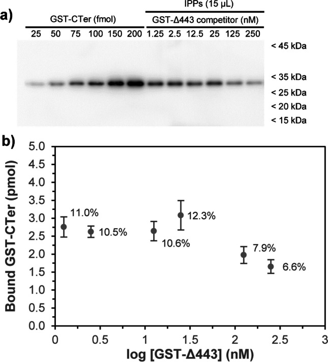 Competitive binding analysis using GST-Δ443 as a competitor for GST-CTer binding to MIN nanoparticles. a Recombinant GST-CTer was loaded at shown increasing amounts (lanes 1–6) in parallel with 15 µL of IPP samples following binding experiments with a fixed concentration of the target GST-CTer protein (50 nM) and increasing concentrations of the truncated fusion protein GST-Δ443 used as a competitor (lanes 7–12). b Quantification of bound GST-CTer (pmoles) as a function of the concentration of the competitor added to the incubation medium. Above each point, the calculated immunoprecipitated protein percentage relative to the initial input protein amount is depicted. Results depict mean ± SD of n = 3 independent experiments