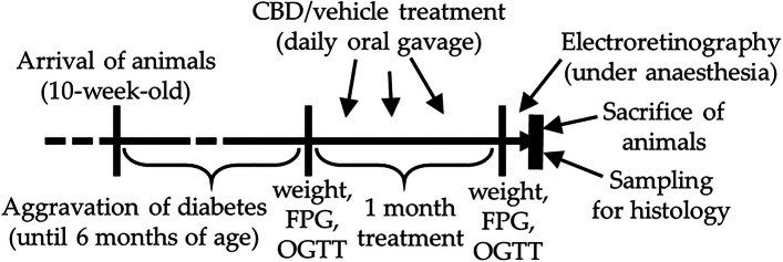 Flowchart of the research