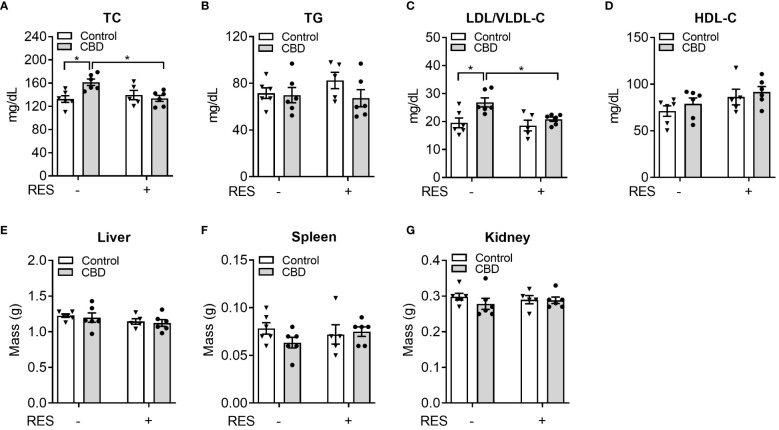 The impacts of CBD exposure on plasma lipid levels in wildtype mice. Eight-week-old male WT mice were treated with vehicle control or CBD (10 mg/kg/day) and/or PXR specific antagonist RES (45 mg/kg/day) by oral gavage for 1 week on AIN76 diet. Fasting plasma total cholesterol (A) and triglyceride (B) levels were measured by enzymatically colorimetric methods (n=5–6, two-way ANOVA, Bonferroni multiple comparisons test for multiple comparisons, *P<0.05). (C, D) Lipoprotein fractions (LDL/VLDL and HDL) were isolated, and the cholesterol levels of each fraction were measured (n=5–6, two-way ANOVA, Bonferroni multiple comparisons test for multiple comparisons, *P<0.05). The major organs were weighed at anesthesia, including liver (E), spleen (F), and kidney (G). Error bars represent ± SEM.