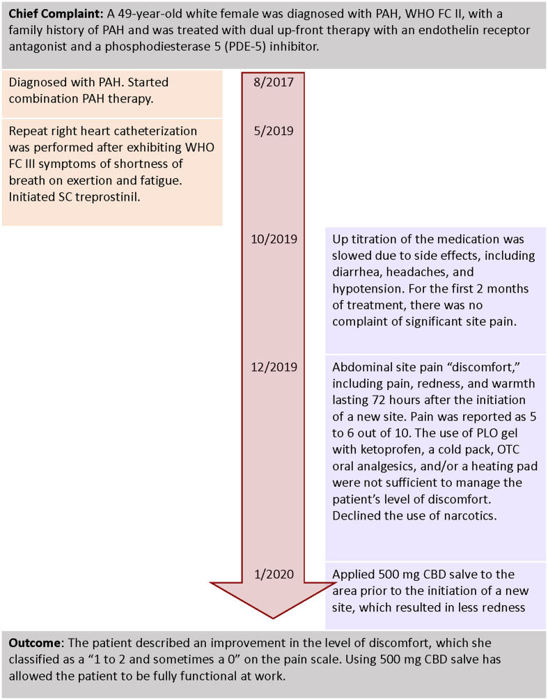 Timeline of interventions and outcomes for patient #2.