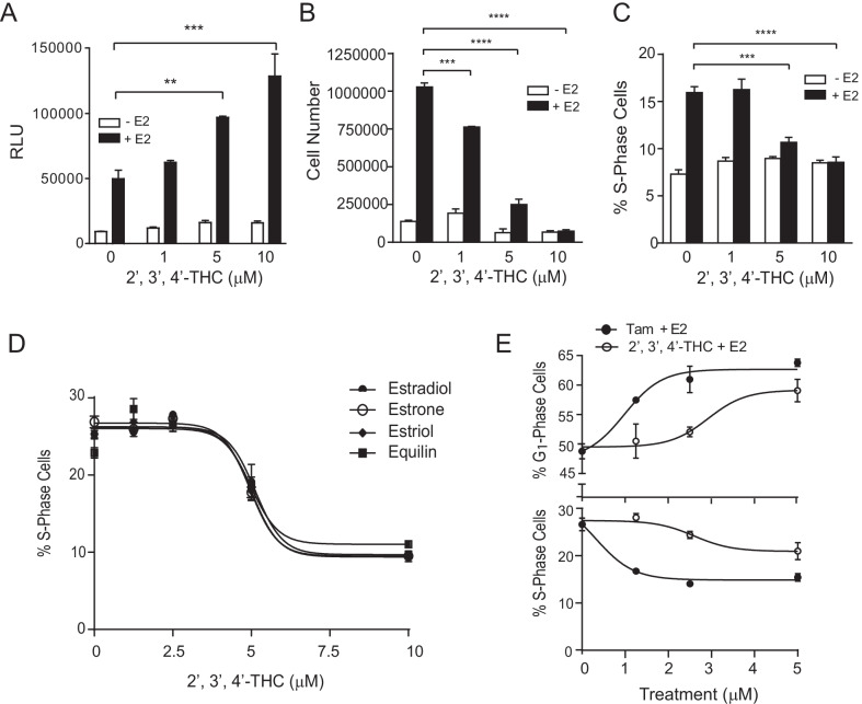 E2-induced MCF-7 breast cancer cell proliferation is blocked by 2′,3′,4′-THC. A MCF-7 cells transfected with ERE-TK-Luc were treated with 5 μM 2′,3′,4′-THC and 10 nM E2 alone or in combination for 24 h and then luciferase activity was measured. B Growth curve in MCF-7 breast cancer cells was determined with a Coulter counter after the cells were treated with increasing concentrations of 2′,3′,4′-THC without or with 1 nM E2 for 7 days. C The percentage of S phase cells was determined by flow cytometry after MCF-7 cells were treated with increasing amounts of 2′,3′,4′-THC without or with 0.1 nM E2 for 24 h. D Percentage of S phase cells in the cells treated with increasing concentrations of 2′,3′,4′-THC in the presence of 0.1 nM E2 or 1 nM estrone, estriol, or equilin for 24 h. E Percentages of S and G1 phase cells in the cells treated with increasing amount of tamoxifen (Tam) or 2′,3′,4′-THC in the presence of 0.1 nM E2 for 24 h were determined by flow cytometry. The error bars are means ± SE. The differences among various treatments were analyzed with two-way ANOVA followed by Sidak’s multiple comparisons post hoc test. The asterisks over the bars indicate the significant difference between E2 alone and E2 in combination with increasing amounts of 2′,3′,4′-THC
