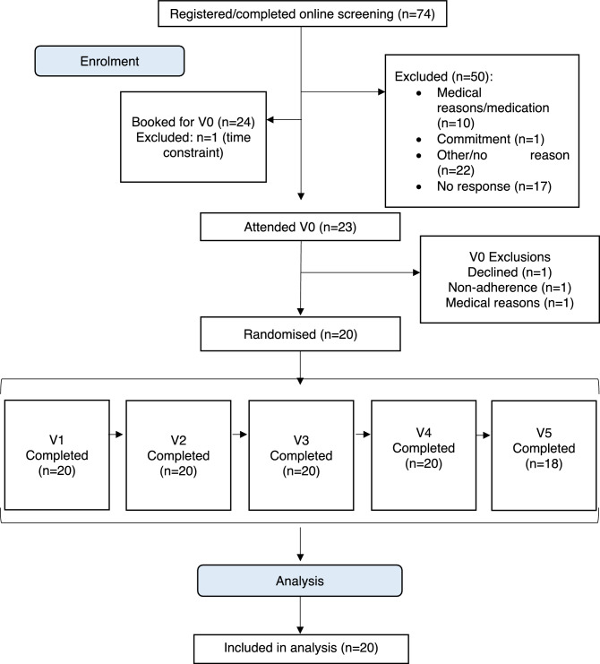 Participant Flow Diagram. Adapted CONSORT diagram outlining recruitment at each trial phase
