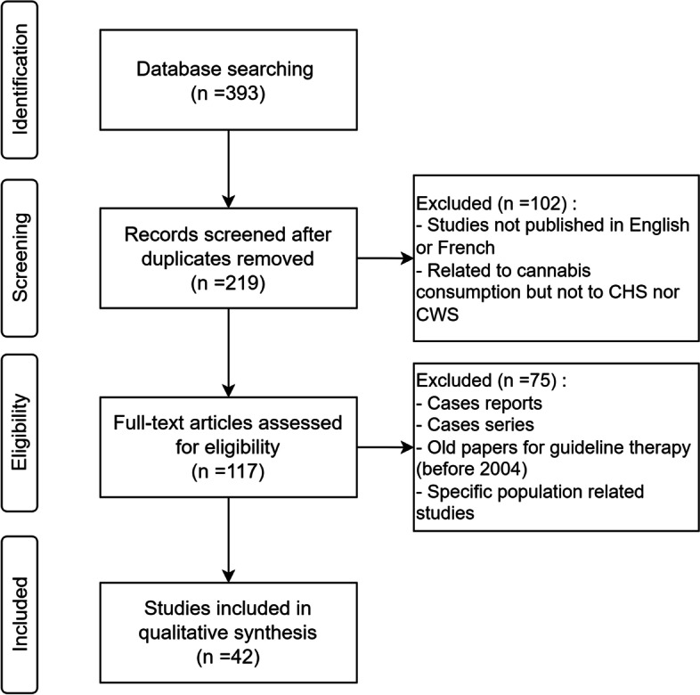 Literature selection flowchart