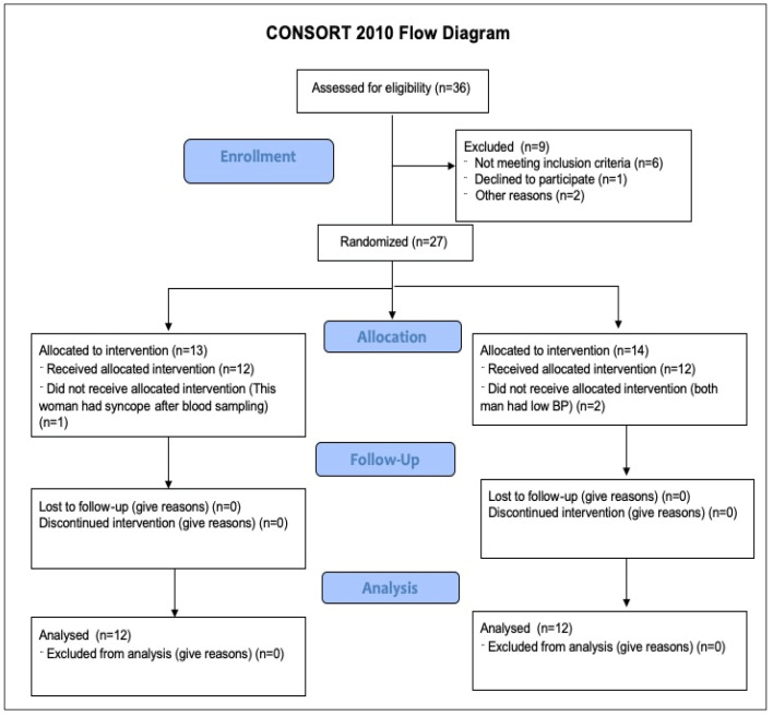 CONSORT flow diagram.