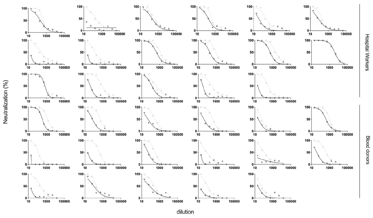 Neutralization curves for each serum from the HW and BD cohorts against WT (grey) and Omicron/B.1.1.529 (black).