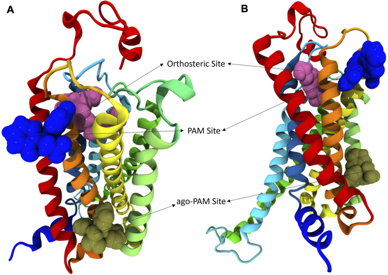 hCB1R with three different binding sites shown. In these views of hCB1R the orthosteric site is shown in magenta, an identified PAM site in blue, and another identified putative ago-PAM site in tan. Transmembrane helices are: I red, II orange, III yellow, IV light green, V green, VI cyan, and VII blue. (A) is a visualization of CB1R looking down on the extracellular surface. (B) is a visualization of CB1R looking across at the transmembrane domains.