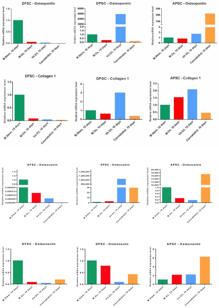Graph representation of relative RNA expression levels of osteogenic genes (osteopontin, collagen 1, osteocalcin, and osteonectin) of DFSCs, DPSCs, and APSCs after 10 days of cultivation with standard stem cell medium, OS medium, and treatments with Vit. D3 (2.5 nM) and CBD (0.75 µM).