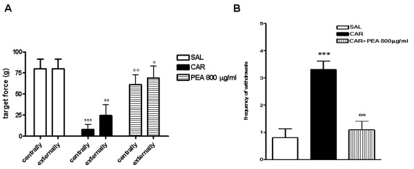 Effect of PEA on λ-carrageenin-induced hyperalgesia. Mechanical allodynia was evaluated by von Frey filament as (A) a target force both centrally and externally to granulomatous tissue and as (B) the frequency of withdrawals induced by 10 consecutive applications of the same von Frey filament. Results are expressed as mean ± SEM of 3 experiments. *p < 0.05, **p < 0.01, ***p < 0.001 vs. saline; °p < 0.05, °°p < 0.01, °°°p < 0.001 vs λ-carrageenin alone.