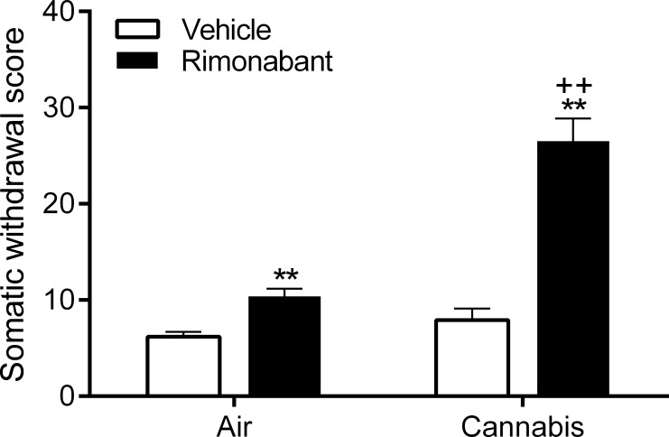 Increase in somatic withdrawal signs in rats exposed to cannabis smoke.The CB1 receptor antagonist rimonabant induces more somatic withdrawal signs in the cannabis rats than the air exposed rats. Asterisks (** p<0.01) indicate increased somatic withdrawal signs compared to the corresponding vehicle group. Plus signs (++ p<0.01) indicate increased somatic withdrawal signs compared to the air-rimonabant group. N = 10 per group. Data expressed as means ± SEM.