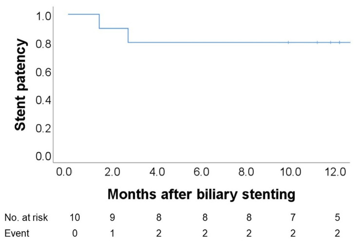 Kaplan–Meier curve of 12-month stent patency. Stent patency was 90% at 1.4 months and 80% at 2.7 months after stent placement, with no additional events observed during the remainder of the 12-month follow-up.