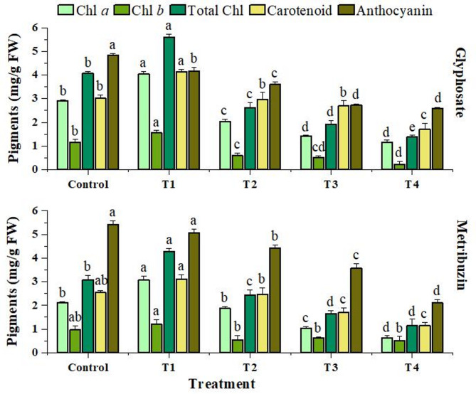 Effect of glyphosate and metribuzin on photosynthetic pigments of Cannabis sativa L. Data represent mean values (± standard error) of three replicates (n = 3). Treatments are as follows: T1 = X/8, T2 = X/4, T3 = X/2, and T4 = X, where X is 2.47 L/ha for glyphosate and 742 g/ha for metribuzin. Different letters above bars indicate statistically significant differences among treatments for each pigment, as determined by one-way ANOVA followed by Duncan’s multiple range test (p ≤ 0.05)