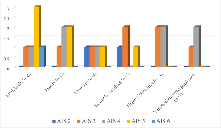 AIS severity score of the in cases of death due to multiple lesions with head involvement (n = 6)