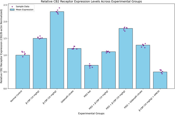 CB2 receptor expression levels in different experimental groups. Values are expressed relative to the normal control group. Error bars represent the standard deviation of the mean (n = 6). Statistical significance was determined at p < 0.05.