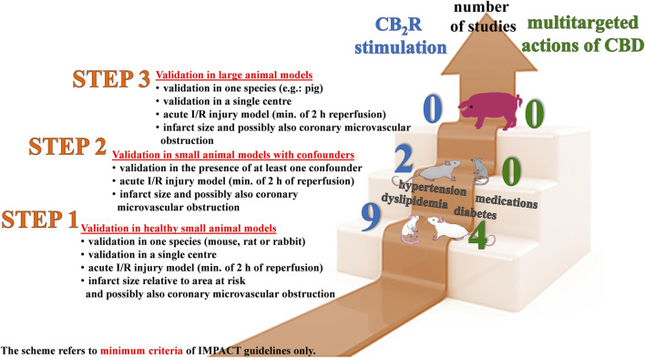 Are the studies regarding the cardioprotective effects of cannabinoid CB2 receptor (CB2R) agonistic drugs and cannabidiol (CBD) against cardiac ischemia/reperfusion (I/R) in accordance with the minimum (min.) criteria of the IMPACT (IMproving Preclinical Assessment of Cardioprotective Therapies) three-step schedule proposed by the European Union (EU) CARDIOPROTECTION COST ACTION (Lecour et al., 2021)? Our literature review, which is the basis for this scheme, shows that only 9 (blue numbers) and 4 (green numbers) of the studies examining the effects of CB2R activation and CBD, respectively, meet the minimum criteria of STEP 1. The minimum criteria of STEP 2 are partially met by two studies with CB2R activation only. Studies in large animals (STEP 3) are still lacking. For clarification: to meet STEP 2, experiments should be performed on small animals with con-founders such as co-morbidities (e.g., diabetes mellitus) or medications (used during surgery or for treatment of diseases) since these factors may influence the observed results.