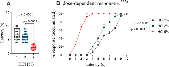 Validation of a chemical nociception assay using different concentrations of hydrochloric acid in Drosophila melanogaster larvae. (A) w 1118 larvae treated with 9% HCl showed significantly increased responsiveness compared to those treated with 2% or 1% HCl (p < 0.0001). No significant difference was observed between the 1% and 2% HCl groups (p = 0.0798). One‐way ANOVA test was performed. (B) Accumulated dose‐dependent HCl response. Boxes represent the interquartile range, with the horizontal line indicating the mean. The whiskers represent the minimum and maximum values, respectively. Data are presented as individual data points for each group (n ≥ 15 larvae per group).