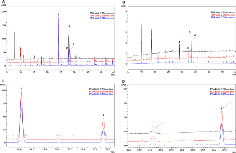 Chromatograms of EAF: (A) Stock solution in donor solution before and (B) acceptor solution after the PAMPA-BBB assay. Isolated compounds: (C) Stock solution of isolated compounds in donor solution before and (D) acceptor solution after assay. Phenyl amides: (1) N-trans-caffeoyltyramine, tR 24.08 min; (2) N-trans-coumaroyltyramine, tR 27.32 min; (3) cannabisin A, tR 28.07 min; (4) feruloyltyramine, tR 28.42 min, and lignanamide were identified in the acceptor solution after assays.