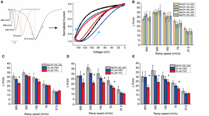 Effects of CBD and THC on HCN1 hysteresis. (A) Ramps from 0 to −150 mV and back to 0 mV at speeds of 600, 300, 150, 75, and 37.5 mV/s. The degree of hysteresis was quantified by the area between the forward and backward current traces when plotted vs. the membrane voltage. (B) Histogram of HCN1 hysteresis for HCN1 treated with different concentrations of methanol used as vehicles for the cannabinoids at concentrations listed in parentheses. Hysteresis is unaffected by increasing concentrations of methanol. (C–E) THC reduces the degree of hysteresis at fast ramp speeds, with a greater range of ramp speeds affected as THC concentration increases. CBD did not affect HCN1 hysteresis (3 < n <10 for each condition; *P <0.05).