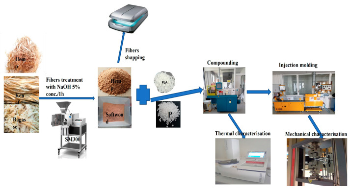 Schematic diagrams of biocomposites preparation.