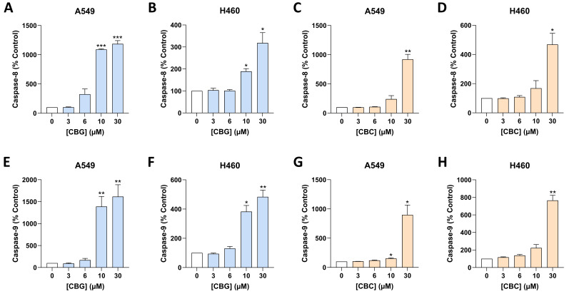 Concentration-dependent effect of CBG and CBC on activation of caspase-8 (A–D) and caspase-9 (E–H) in A549 and H460 cells. Cells were incubated with CBG or CBC at the indicated concentrations for 6 h. Data were obtained using caspase activity assays. All percentage values shown refer to the respective time-matched vehicle control, which was set to 100%. Data represent the mean ± SEM of 3 biological replicates, each performed in technical triplicate. * p ≤ 0.05, ** p ≤ 0.01, *** p ≤ 0.001 vs. corresponding vehicle control; statistical analyses were performed on log-transformed, blank-corrected luminescence data using RM one-way ANOVA with Dunnett’s post hoc test.