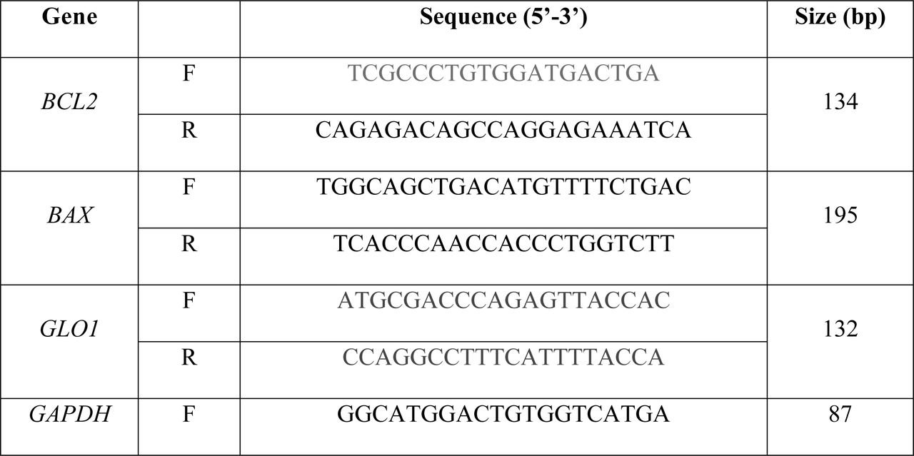 Primer sequences for real-time RT-PCR.