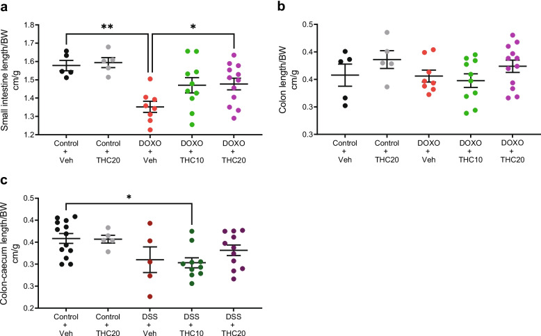 Changes in mouse intestinal length in THC-treated mucositis and colitis. a Small intestinal length on day 7 after start of DOXO-treatment. b Length of the colon on day 7 after start of DOXO-treatment. c Colon-caecum intestinal length at day 10 in the DSS study. BW = Body weight, Veh = vehicle treatment, THC10 = 10 mg/kg THC, THC20 = 20 mg/kg THC. Results are expressed as means ± SEM. The intestinal lengths are shown relative to baseline weight. *p < 0.05, **p ≤ 0.01