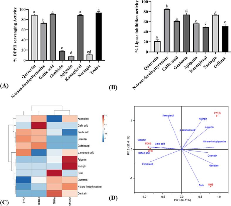 The anti-obesity (A), antioxidant (B), heatmap (C), and PC bi-plots (C) of HPLC-quantified in hempseed. The standards for the HPLC-identified polyphenols were utilized for anti-obesity and antioxidant assessments.